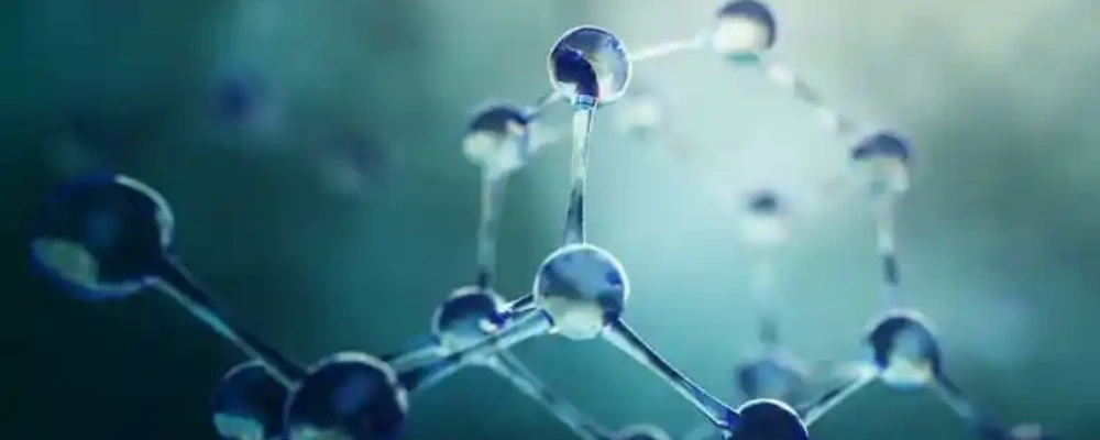 Bovine Bone Collagen pay | Kpeptide Bovine Bone Collagen pay | Kpeptide